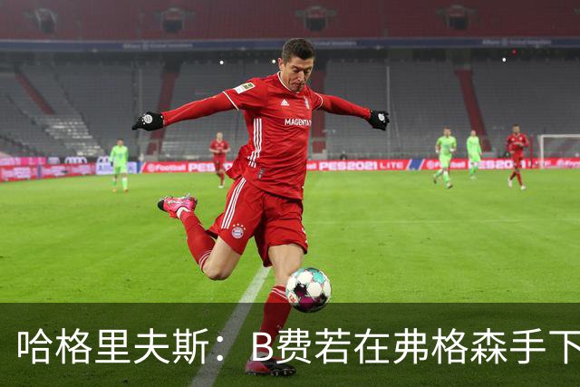 哈格里夫斯：B费若在弗格森手下说这话，就没机会再上场了